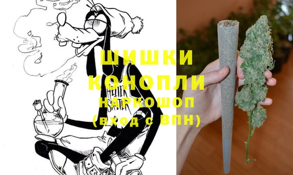 ПСИЛОЦИБИНОВЫЕ ГРИБЫ Елабуга
