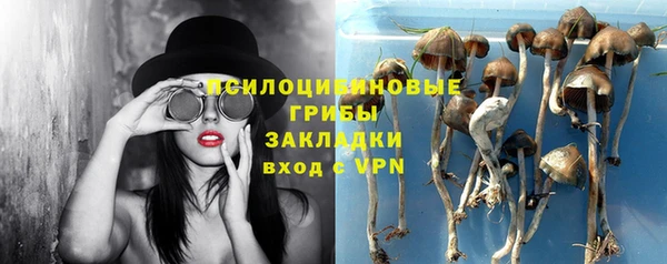 apvp Верея